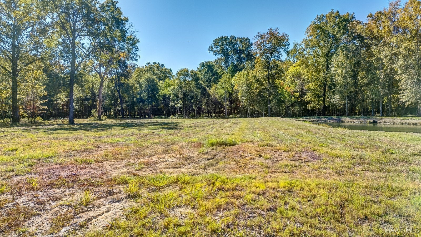 275 Crossing Lane Cecil, AL 36013 - Photo 4 of 17 Gallery Image 4