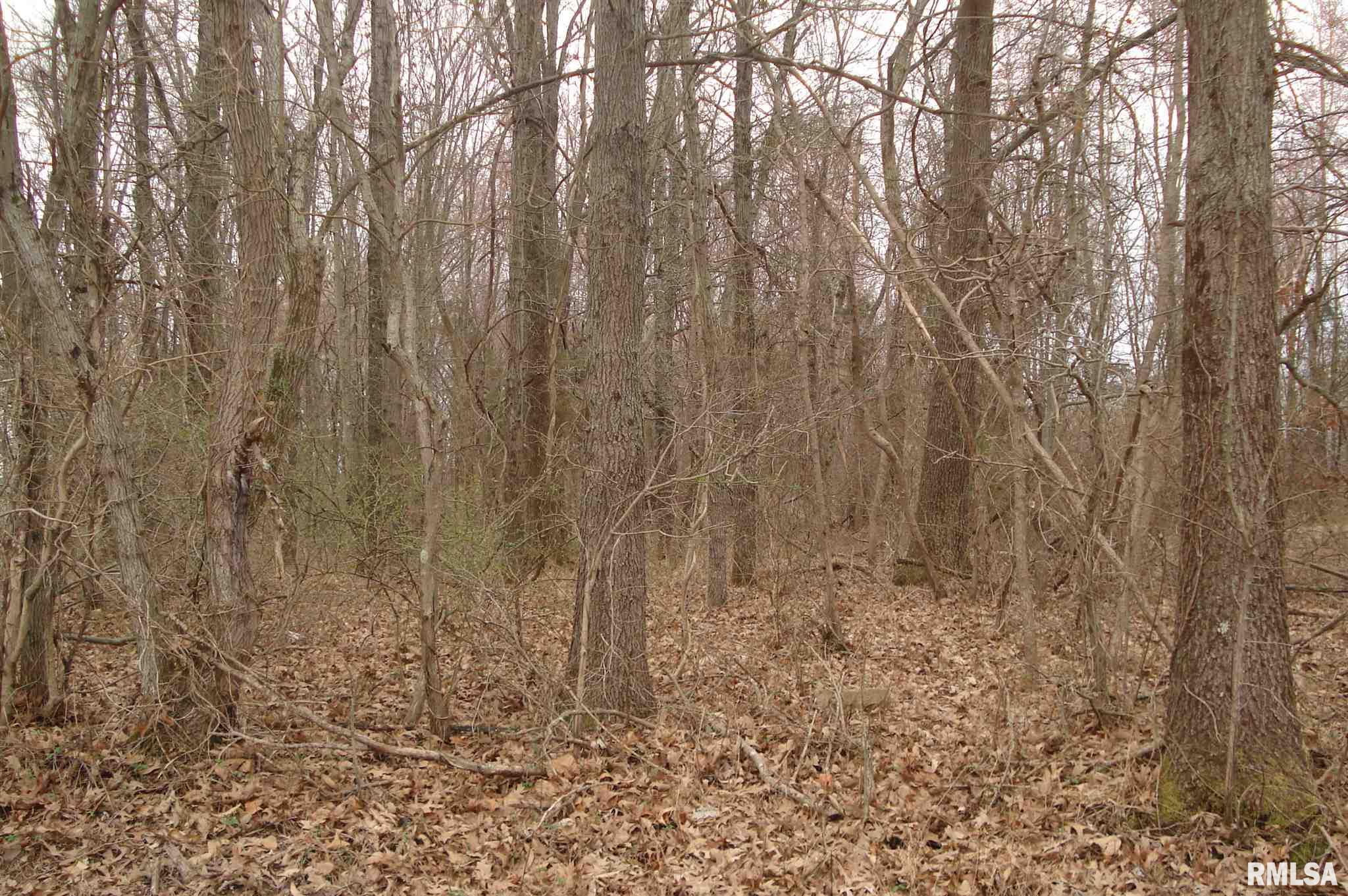 0 Binkley Road Marion, IL 62959 - Photo 3 of 6