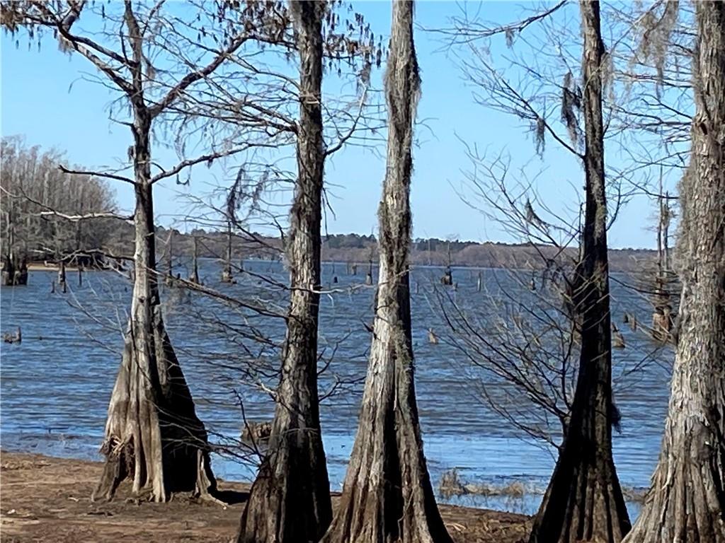 388 Pine Cove Road Goldonna, LA 71031 - Photo 16 of 16 Gallery Image 16