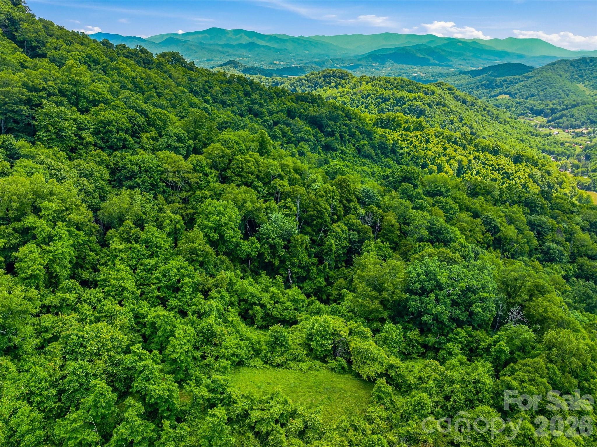 1877 Wilson Cove Road Canton, NC 28716 - Photo 35 of 39