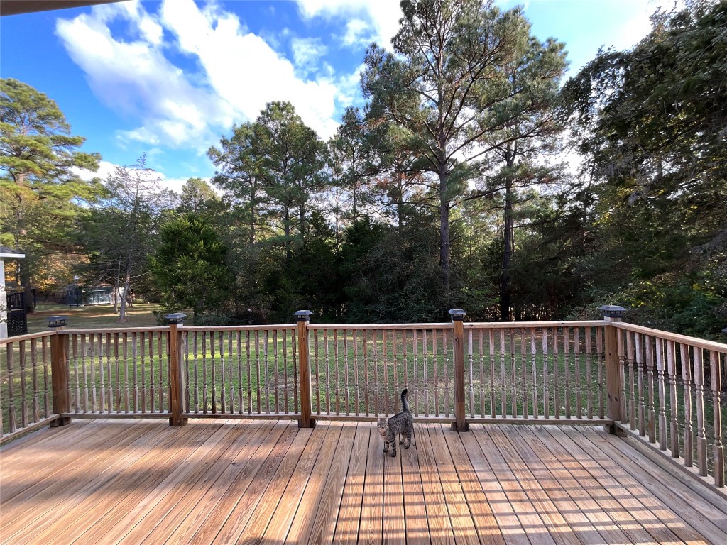 239 Old Firetower Road Bastrop, TX 78602 - Photo 21 of 39 a view of a roof with wooden floor and fence