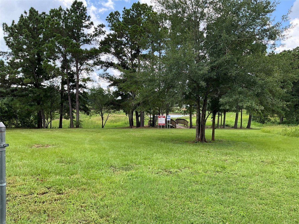 239 Old Firetower Road Bastrop, TX 78602 - Photo 3 of 39 a view of a trees in a yard