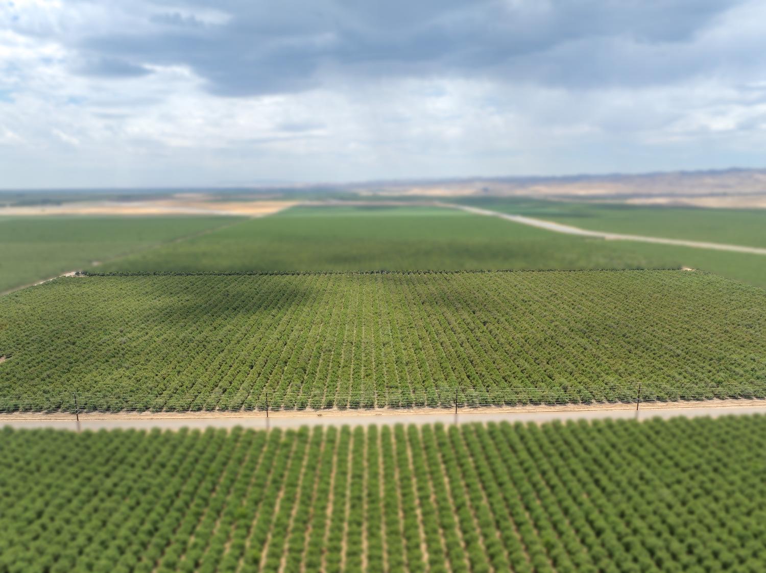 18401 Davis Road Patterson, CA 95363 - Photo 14 of 20 a view of an ocean from a yard