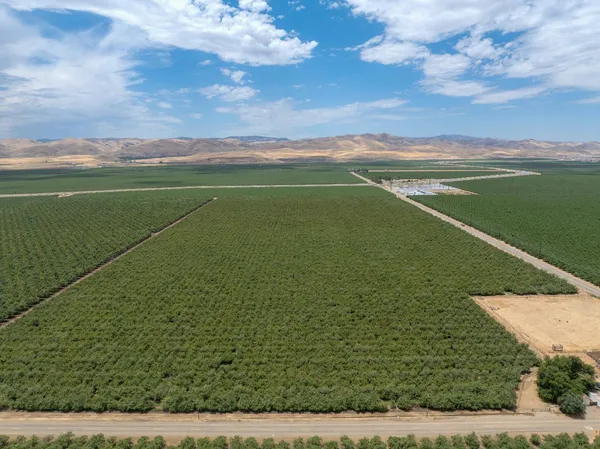 a view of a field with an ocean