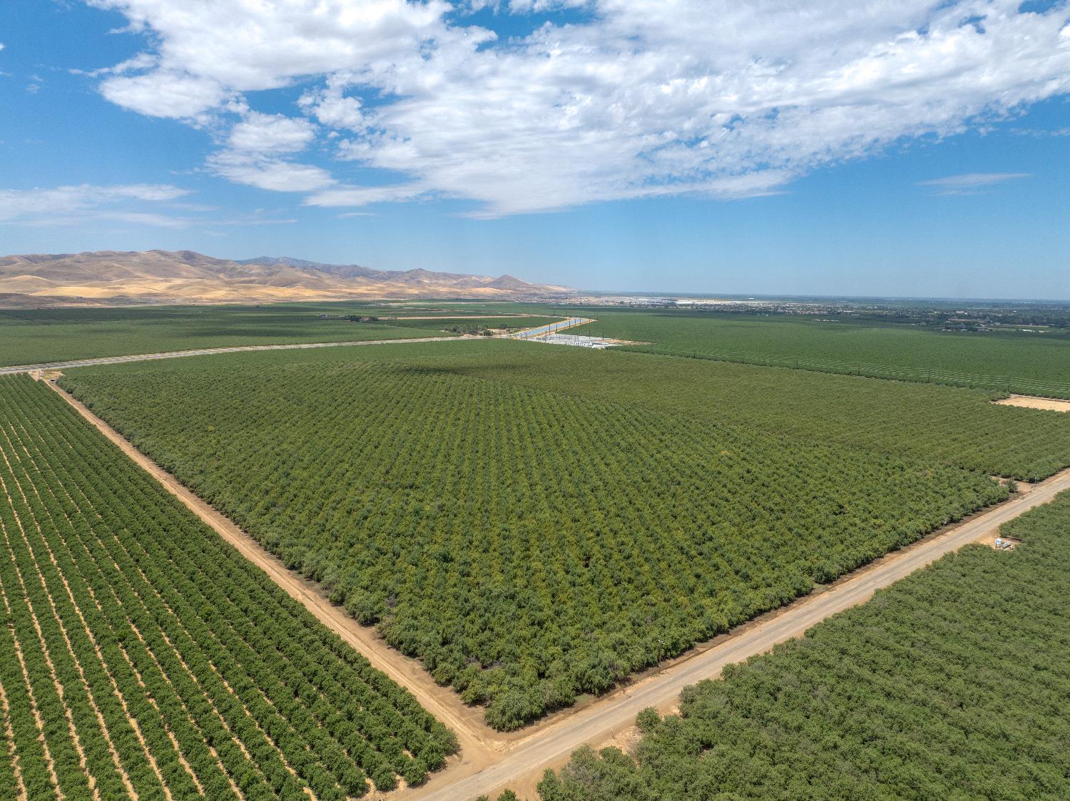 18401 Davis Road Patterson, CA 95363 - Photo 19 of 20 a view of a green field of grass and an ocean view