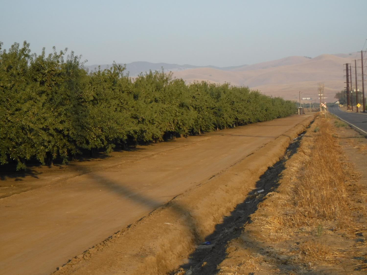 18401 Davis Road Patterson, CA 95363 - Photo 9 of 20 a view of a road with a yard