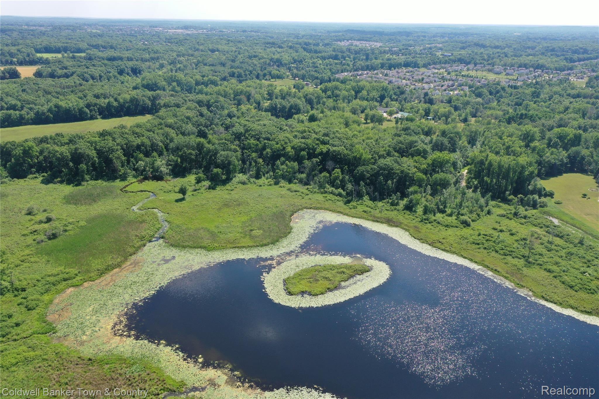 1697 North Hughes Road Howell, MI 48843 - Photo 51 of 61 LOGAN LAKE