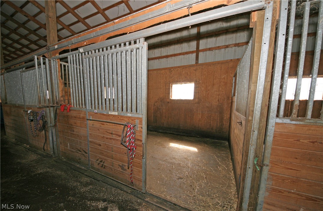 41744 Butternut Ridge Road Elyria, OH 44035 - Photo 7 of 29 Matted stalls