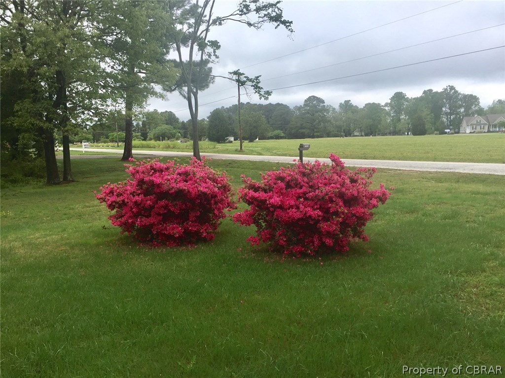 593 Plainview Road Topping, VA 23169 - Photo 17 of 20 Azaleas are lovely this time of year at the river