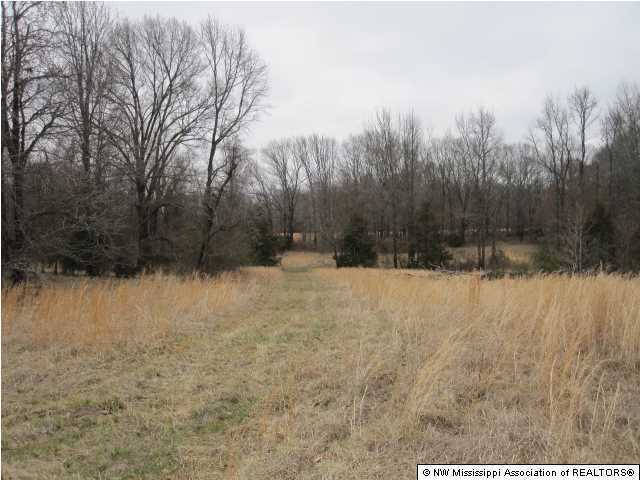 7 Ranch Road Hernando, MS 38632 - Photo 9 of 14 Additional Photo