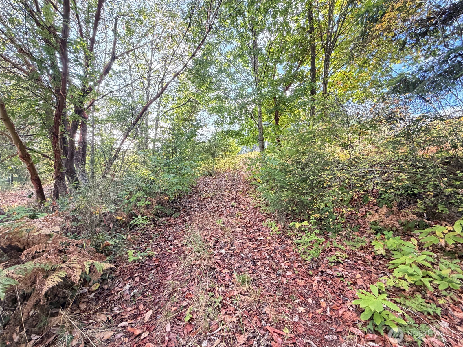 0 East State Rt 3 Shelton, WA 98584 - Photo 9 of 13 Gallery Image 9