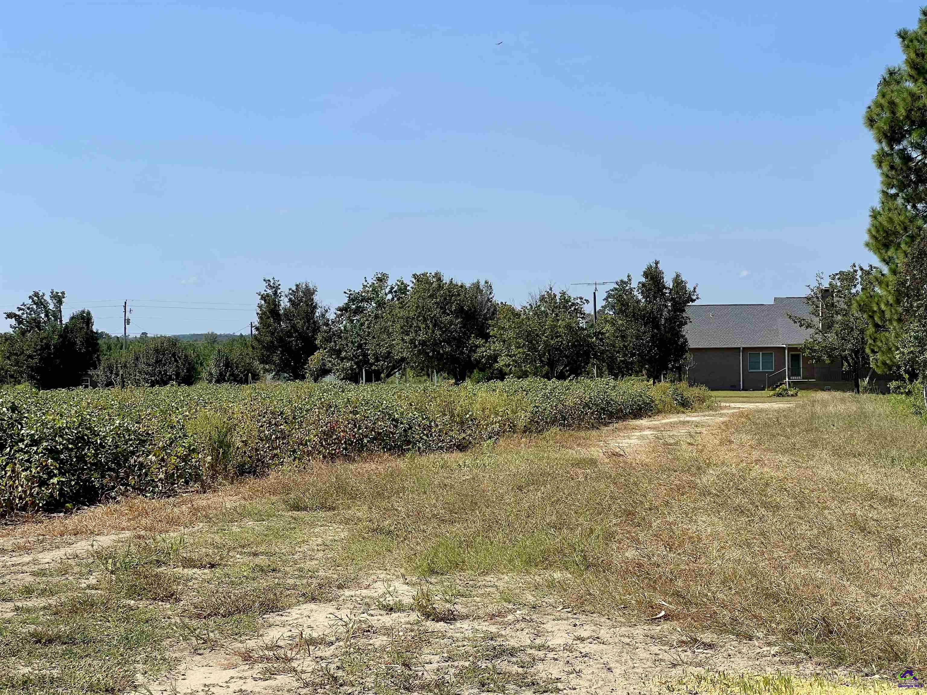 762 Nicholson-Carr Road Chester, GA 31012 - Photo 68 of 81