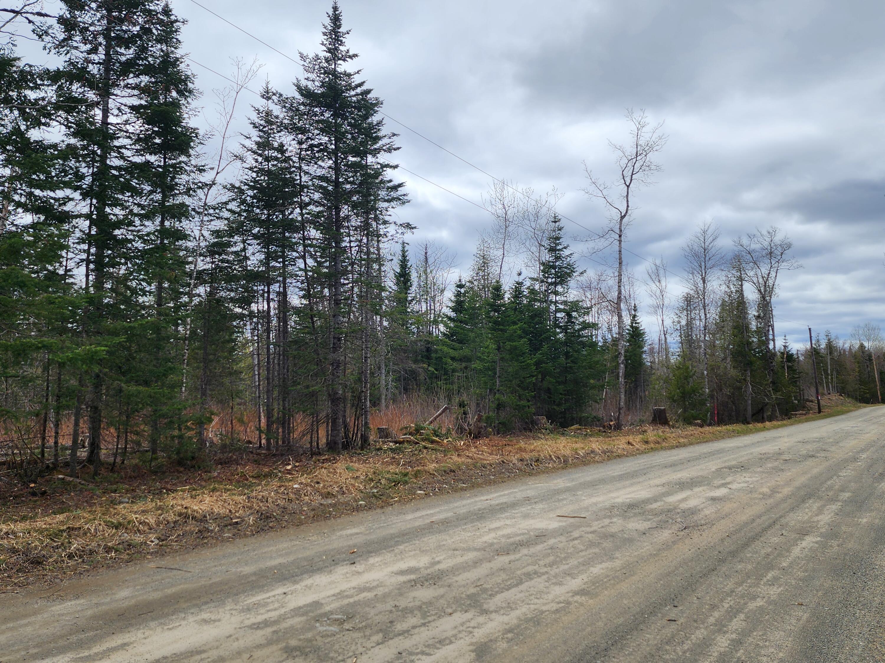 Lot N Cow Team Road Crystal, ME 04747 - Photo 5 of 5 20240504_134759