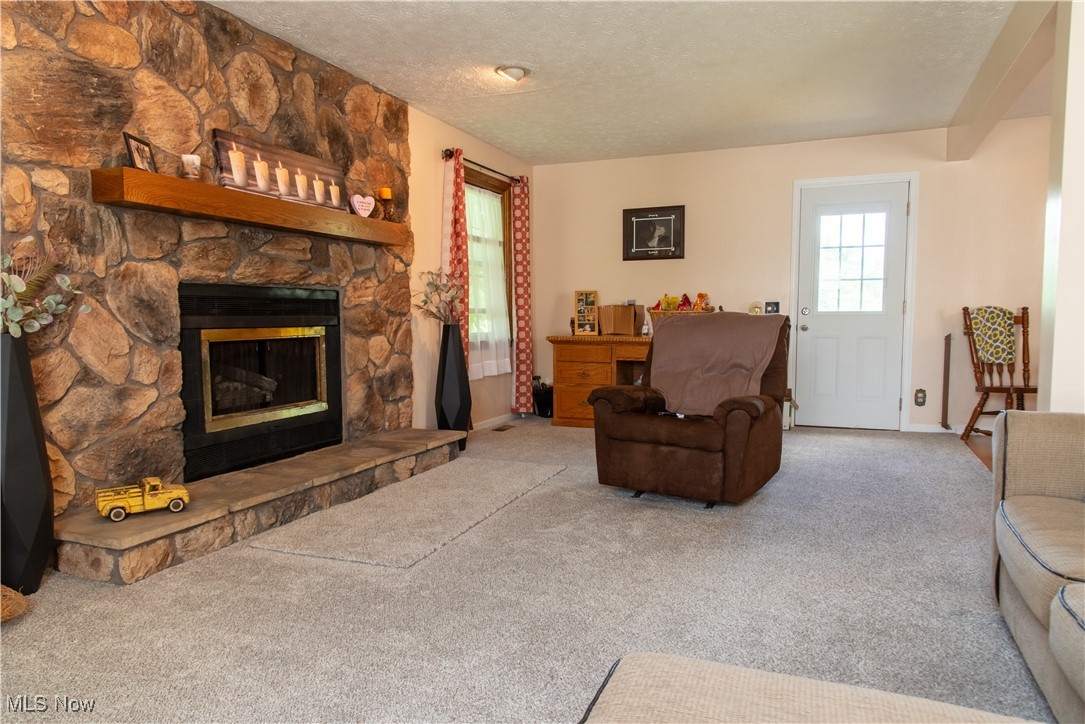 7969 Bricker Road Northwest Clinton, OH 44216 - Photo 6 of 23 Carpeted living room featuring a fireplace, and natural light