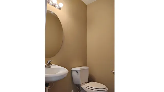 a bathroom with a toilet a sink and a mirror