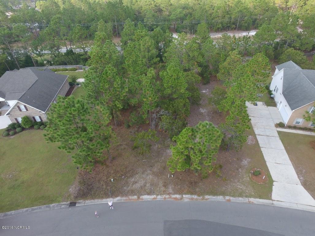 1124 Rivage Promenade Wilmington, NC 28412 - Photo 4 of 11 DJI_0010