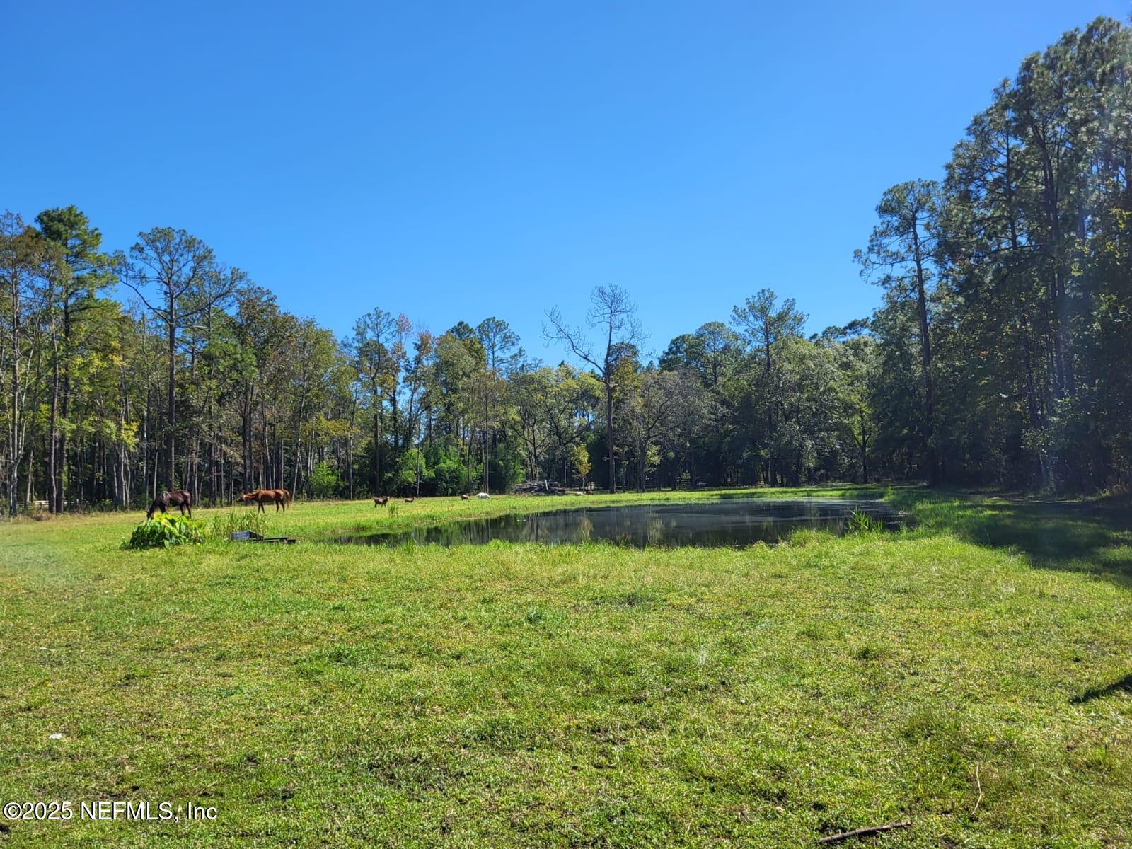 9545 Plummer Road Jacksonville, FL 32219 - Photo 8 of 20 eb413dde-c188-4d97-9009-e34928001ac6