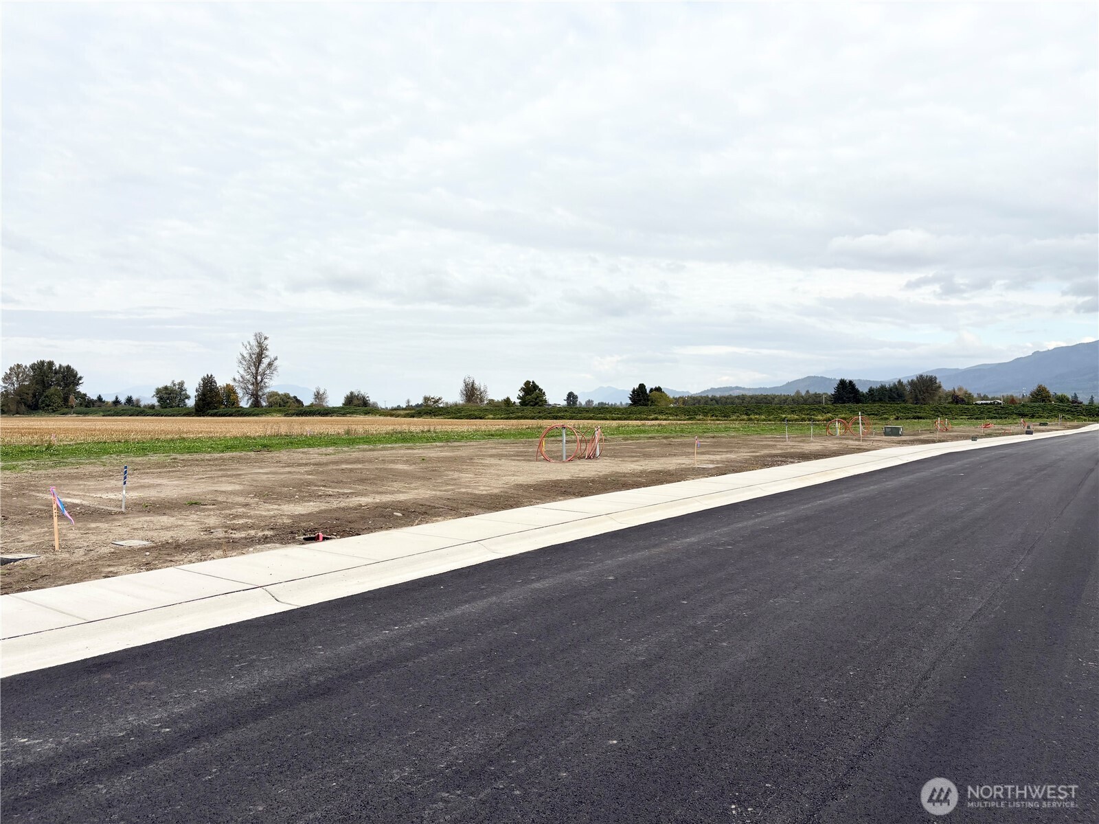 304 West 3rd Street Everson, WA 98276 - Photo 8 of 14 a view of an ocean