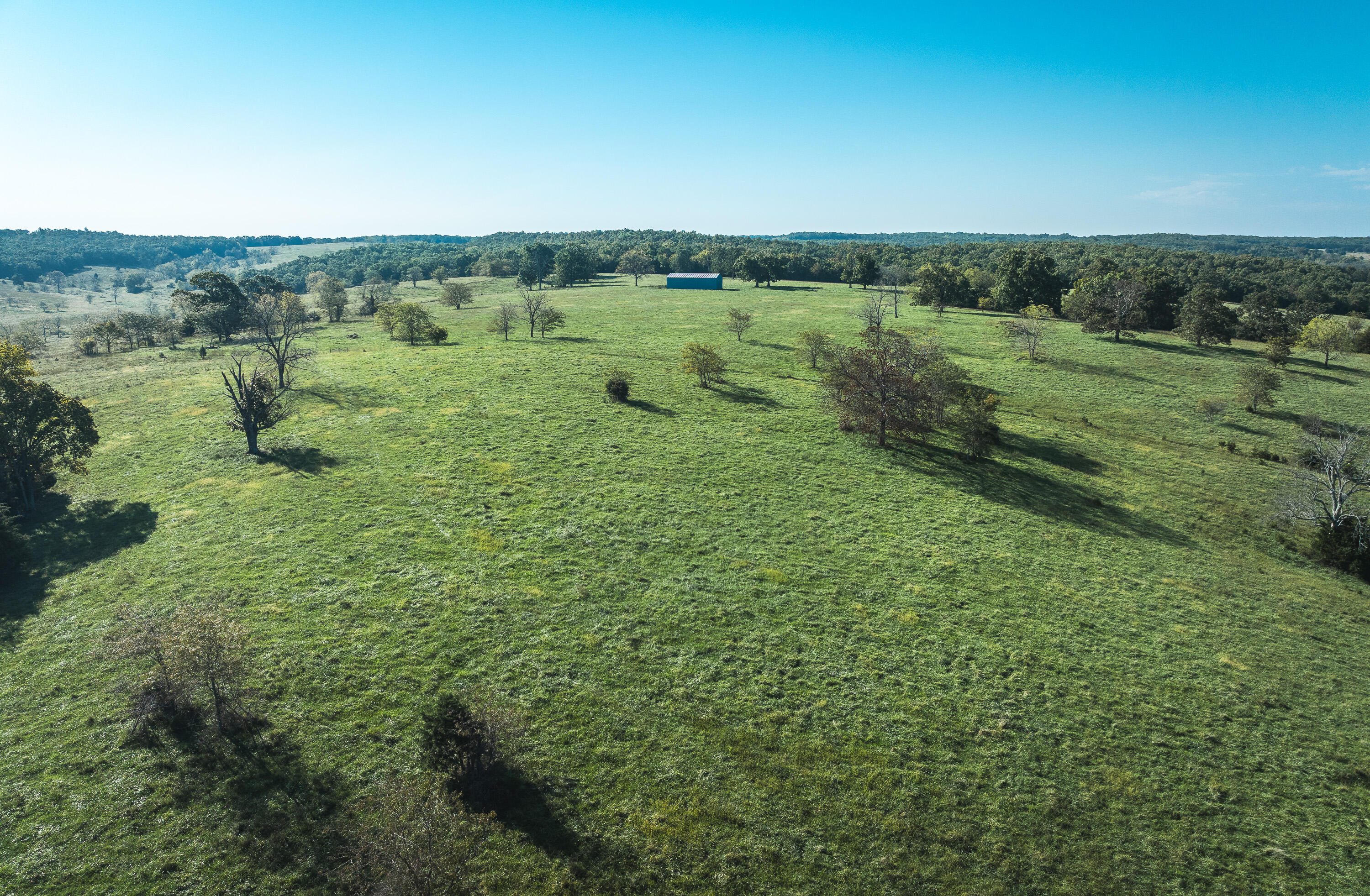 5451 Bado Road Cabool, MO 65689 - Photo 55 of 111 DJI_20240919092829_0167_D