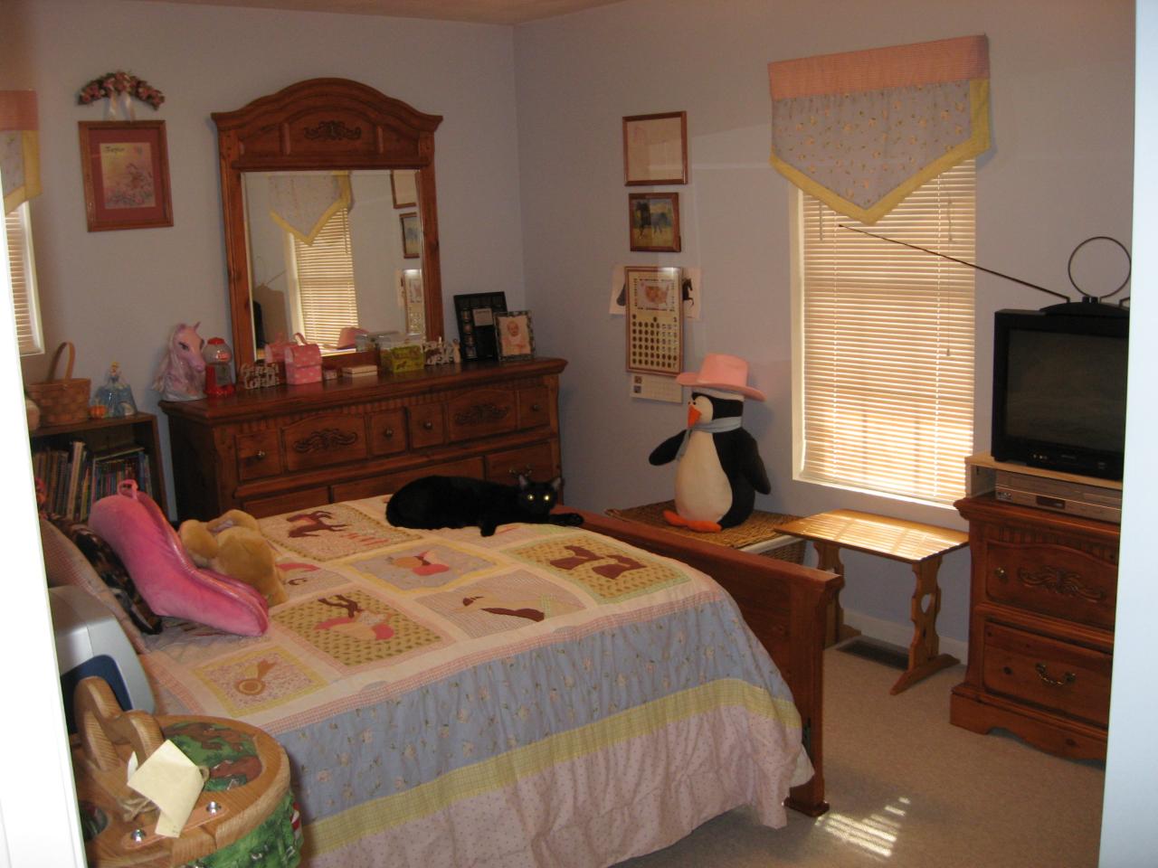 10595 Dickerson Mill Road Moneta, VA 24121 - Photo 8 of 12 2nd Bedroom
