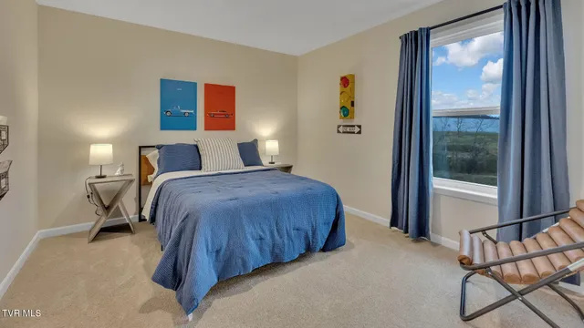 $372,885 | 349 Alta Tree Boulevard, Johnson City, TN 37604