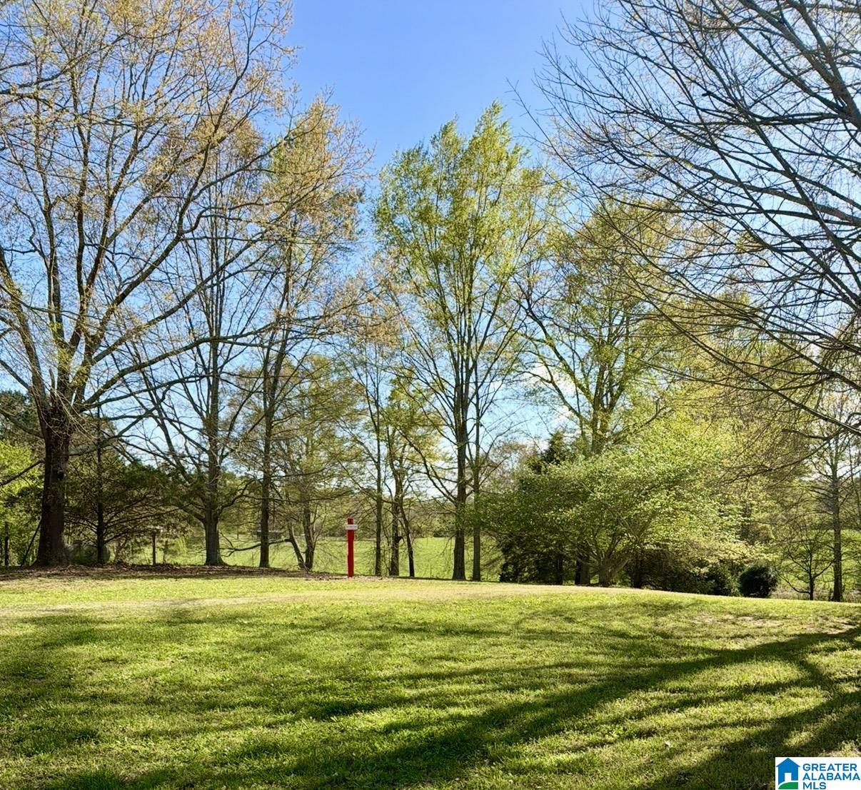 1749 McCollum Church Road Lineville, AL 36266 - Photo 56 of 66