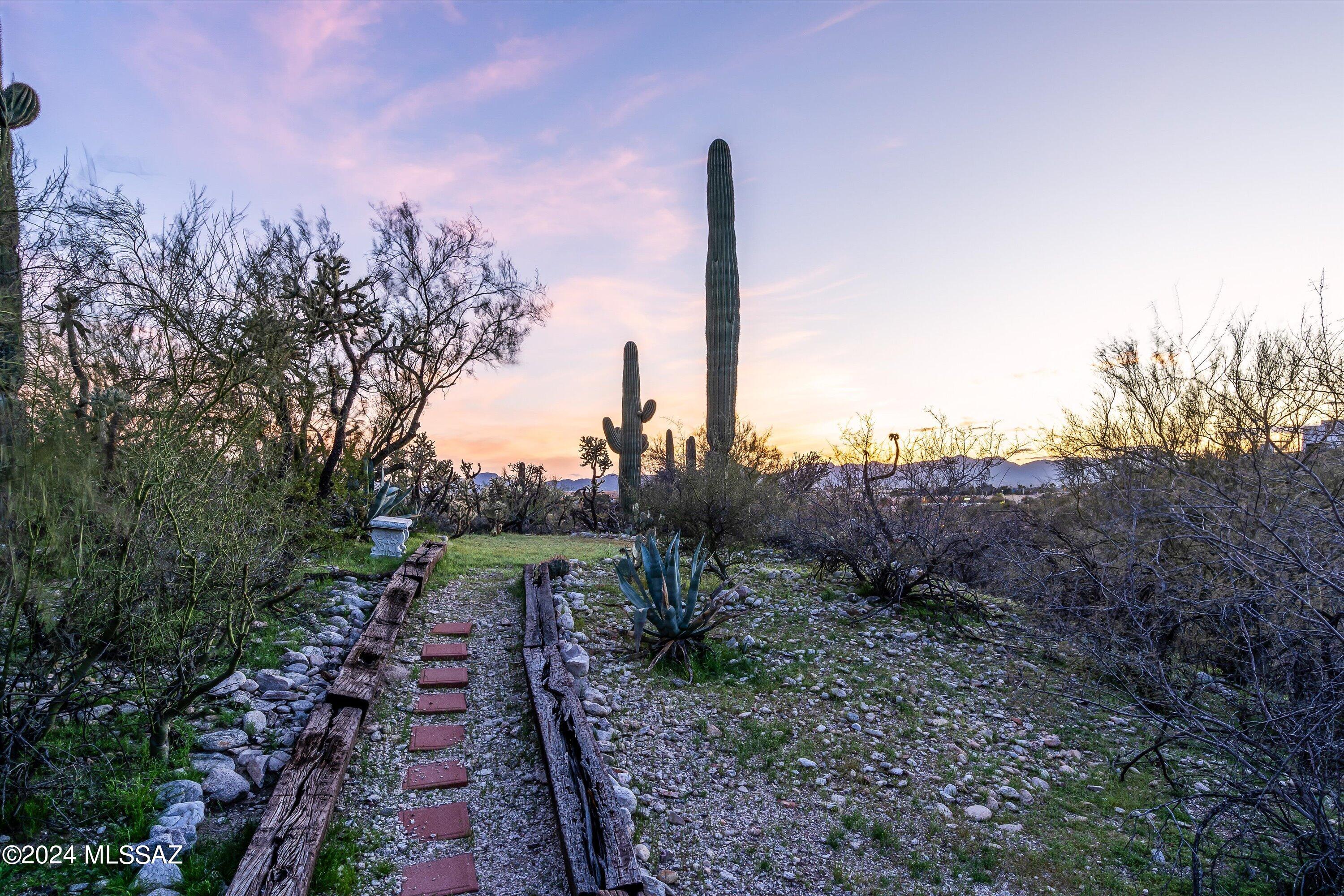 405 East River Road Tucson, AZ 85704 - Photo 36 of 48