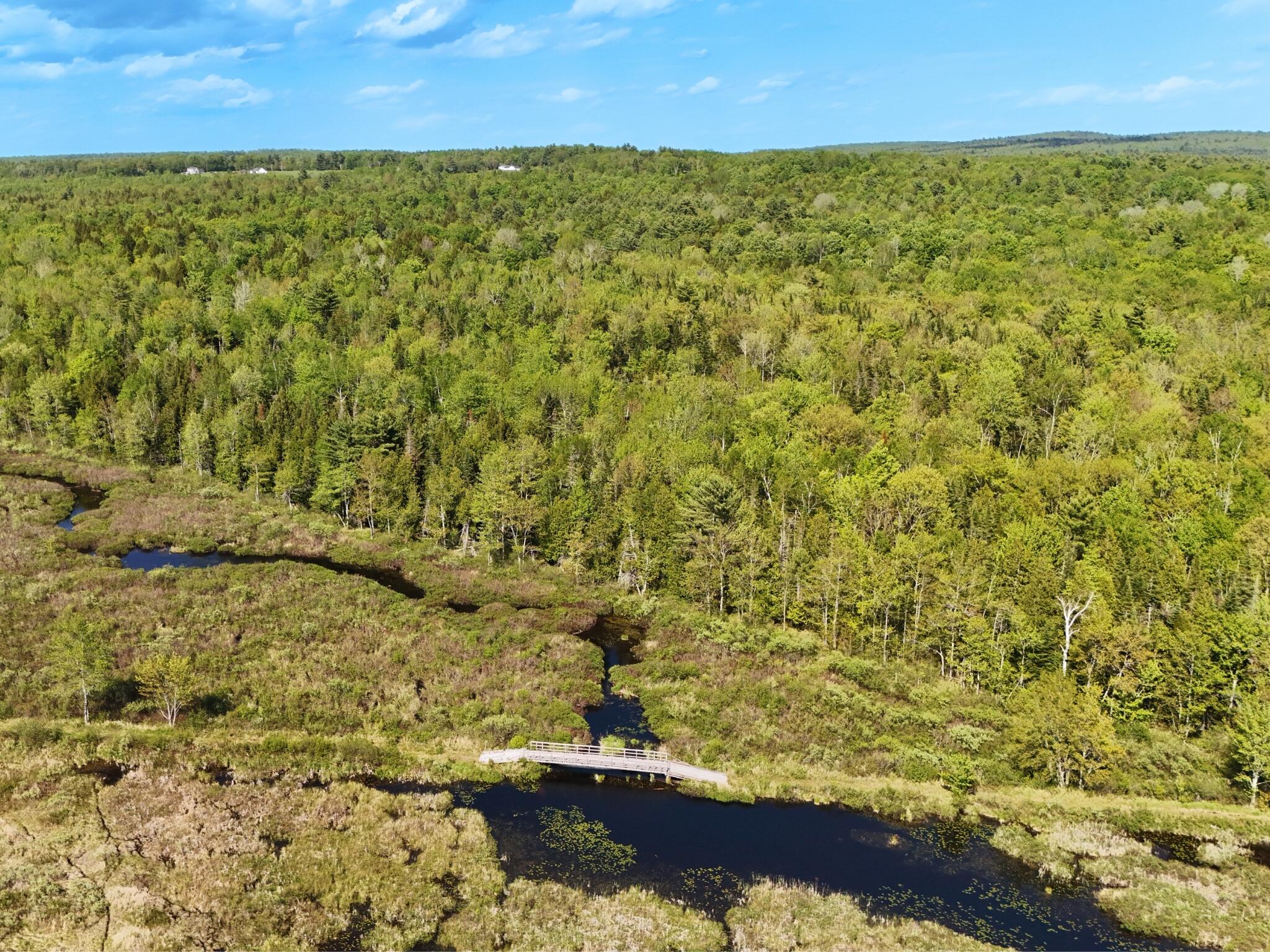 67 Bog Brook Road China, ME 04358 - Photo 8 of 12 Blueland pic 9