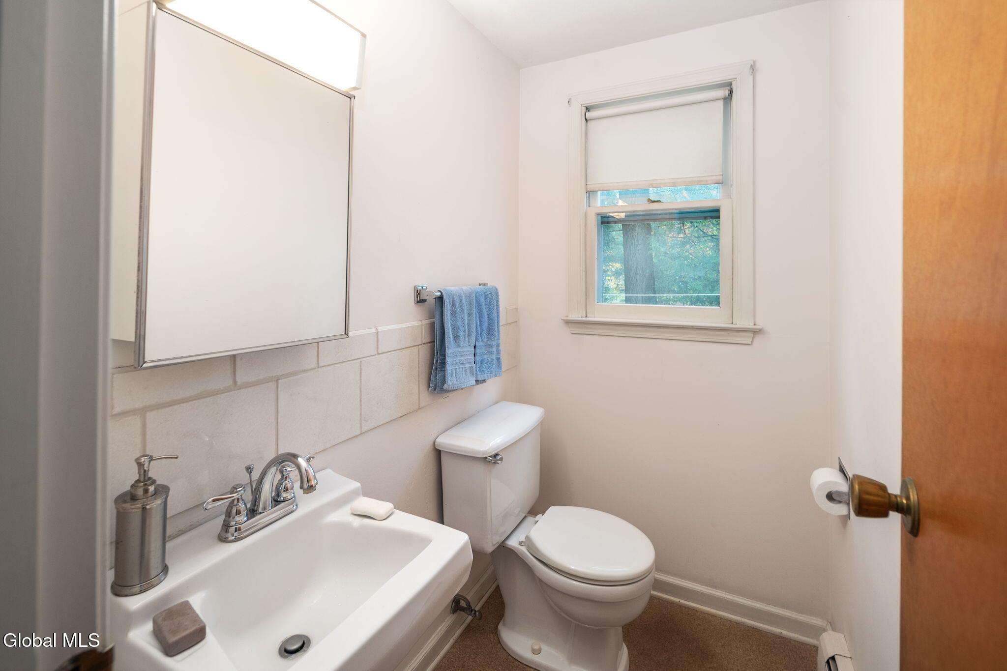 29 Bennett Terrace Bethlehem, NY 12054 - Photo 11 of 36 14-29BennettTerr_14