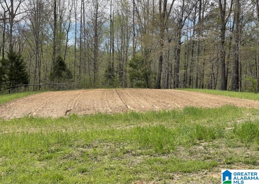 659 River Lawn Road Quinton, AL 35130 - Photo 21 of 24