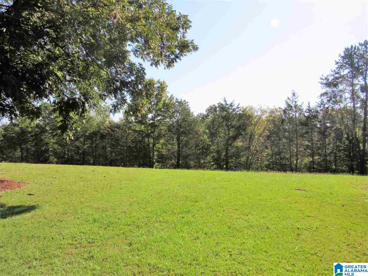 267 Bryant Street Wellington, AL 36279 - Photo 17 of 22