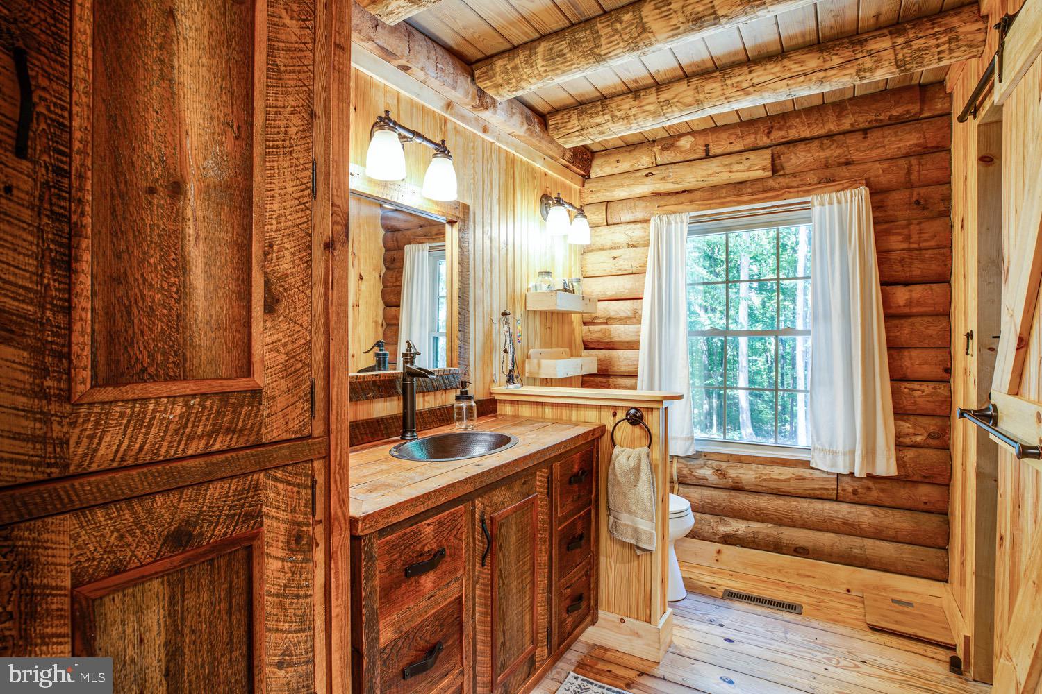 1735 Log Cabin Road Beaverdam, VA 23015 - Photo 20 of 73 Fantastic Master Bathroom