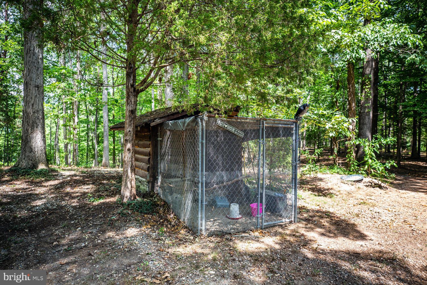 1735 Log Cabin Road Beaverdam, VA 23015 - Photo 52 of 73 Chicken Coop
