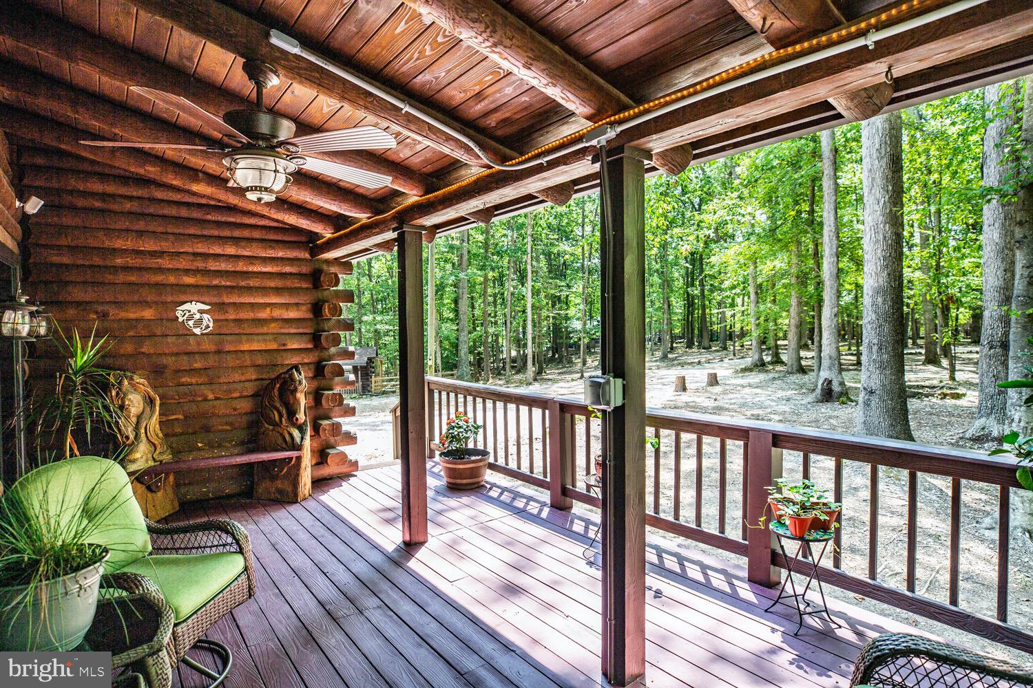 1735 Log Cabin Road Beaverdam, VA 23015 - Photo 6 of 73 Beautiful and Peaceful Views from the front Porch
