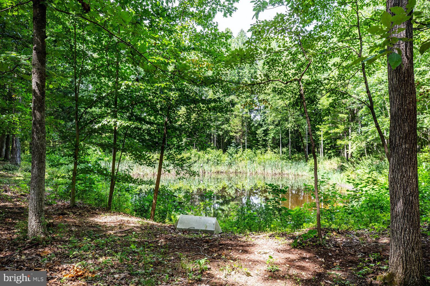 1735 Log Cabin Road Beaverdam, VA 23015 - Photo 73 of 73 Pond