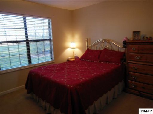 229 Piney Road Kodak, TN 37764 - Photo 14 of 21 Additional Photo