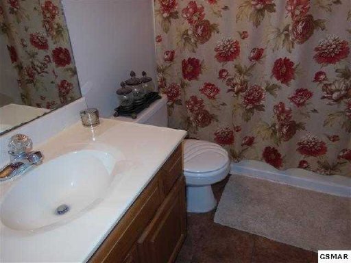 229 Piney Road Kodak, TN 37764 - Photo 15 of 21 Additional Photo
