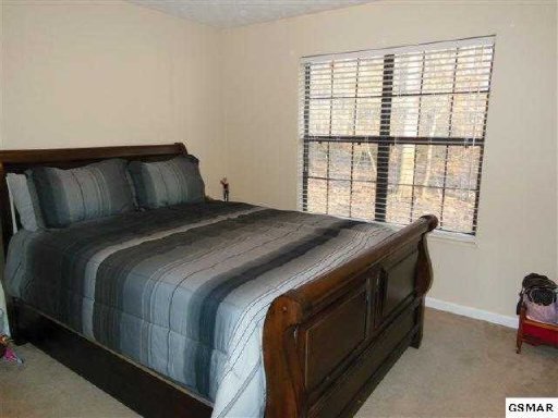 229 Piney Road Kodak, TN 37764 - Photo 16 of 21 Additional Photo