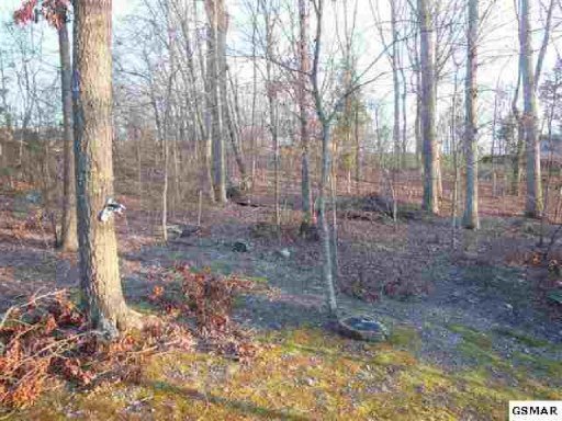 229 Piney Road Kodak, TN 37764 - Photo 21 of 21 Additional Photo