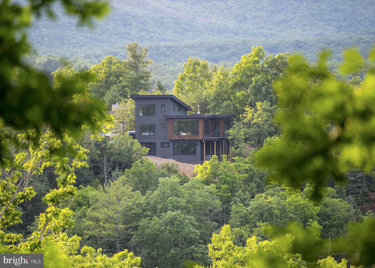 316 Sycamore Road Mount Jackson, VA 22842 - Photo 5 of 10 a view of a garden with plants