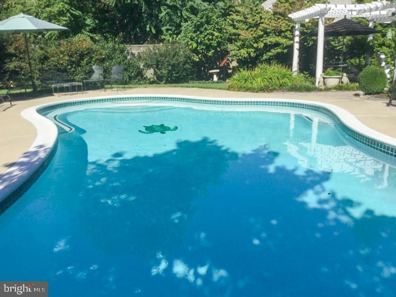 4915 Harrogate Road Ellicott City, MD 21043 - Photo 51 of 60 Pool