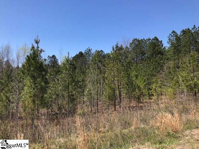 1514 Fort Lindley Road Laurens, SC 29360 - Photo 3 of 5