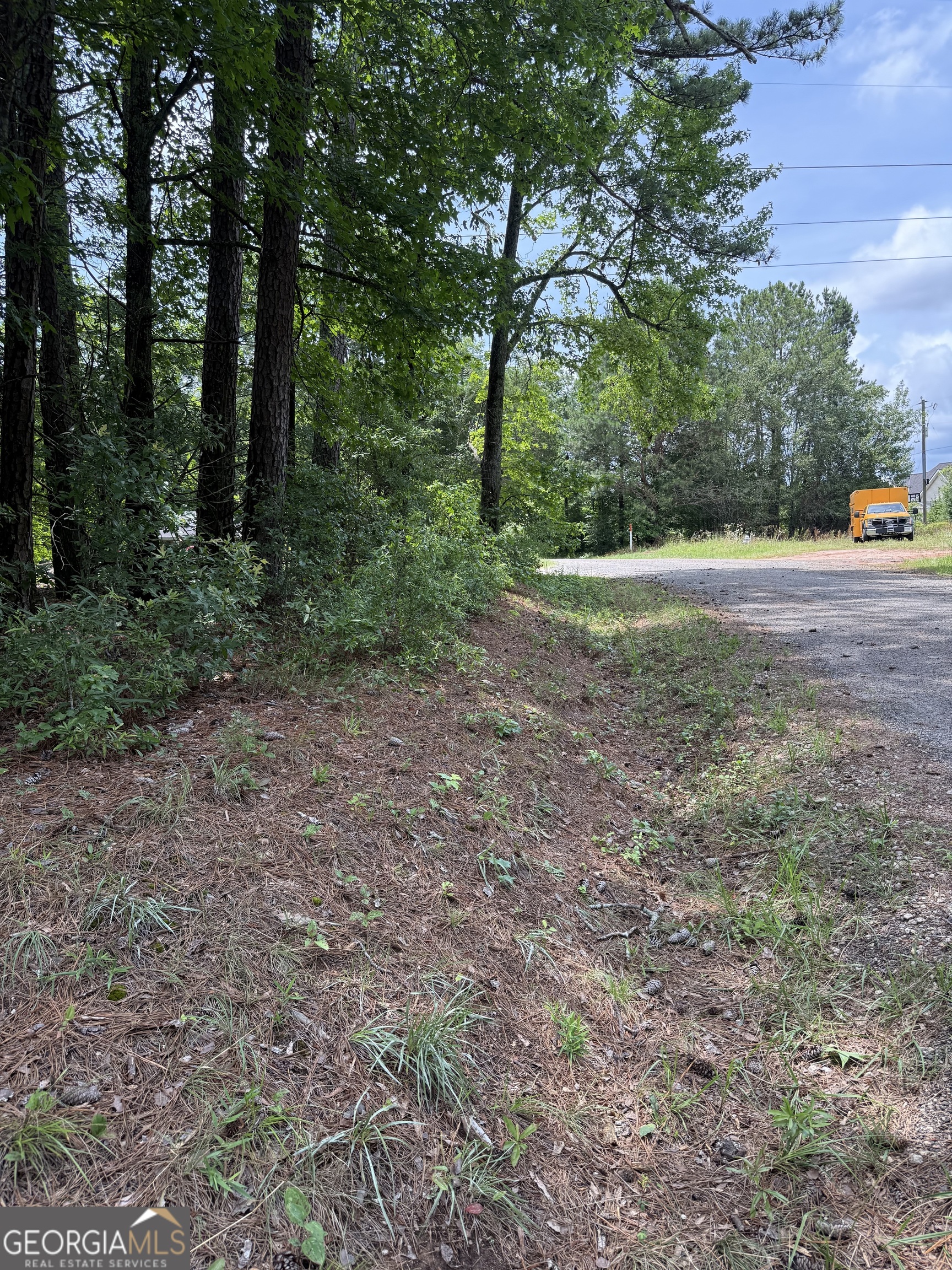 148 Hillview Road, Unit LOT#148 Hampton, GA 30228 - Photo 5 of 6