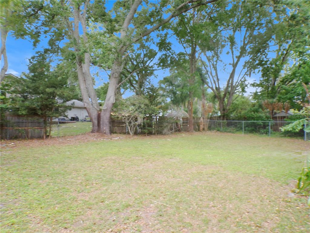 1123 Foggy Ridge Parkway Lutz, FL 33559 - Photo 3 of 18 a backyard of a house with lots of green space