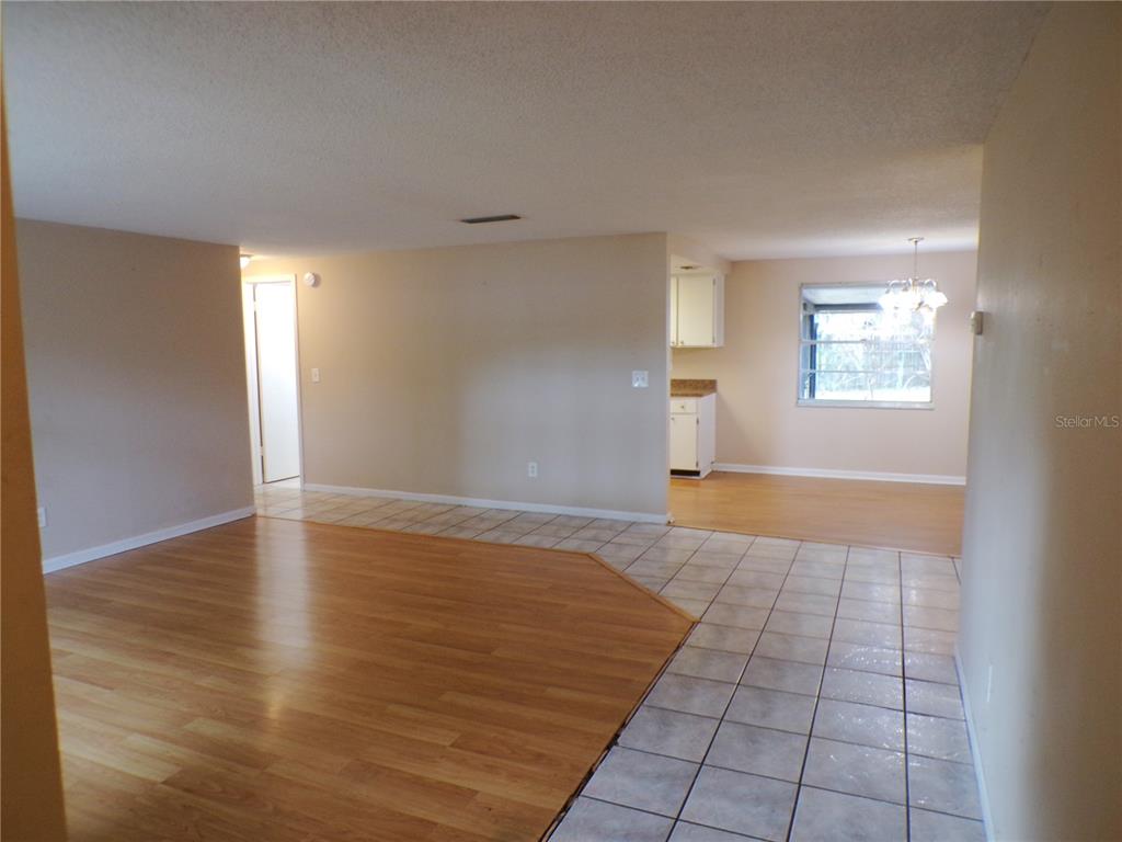 1123 Foggy Ridge Parkway Lutz, FL 33559 - Photo 6 of 18 an empty room with wooden floor and windows