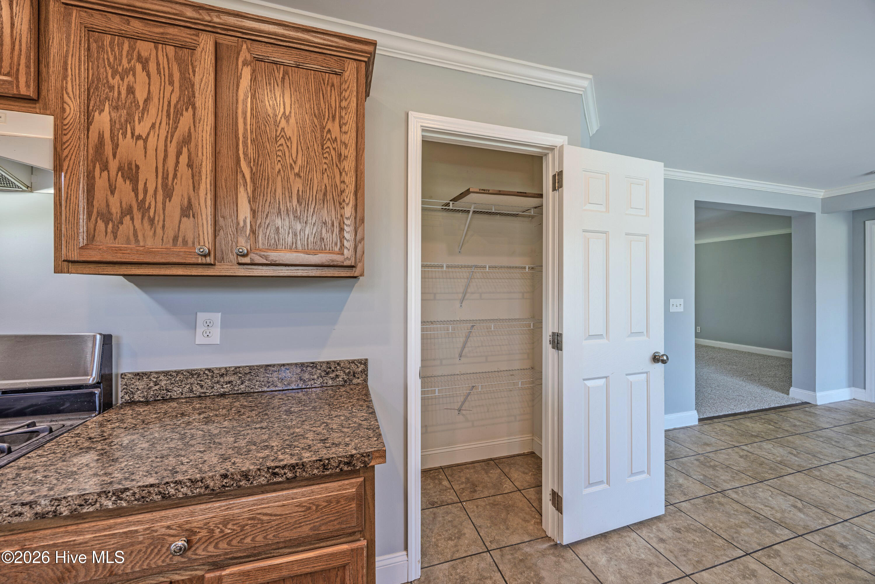 1327 Old Chinquapin Road Beulaville, NC 28518 - Photo 9 of 45 _K6A1186-HDR (Custom)