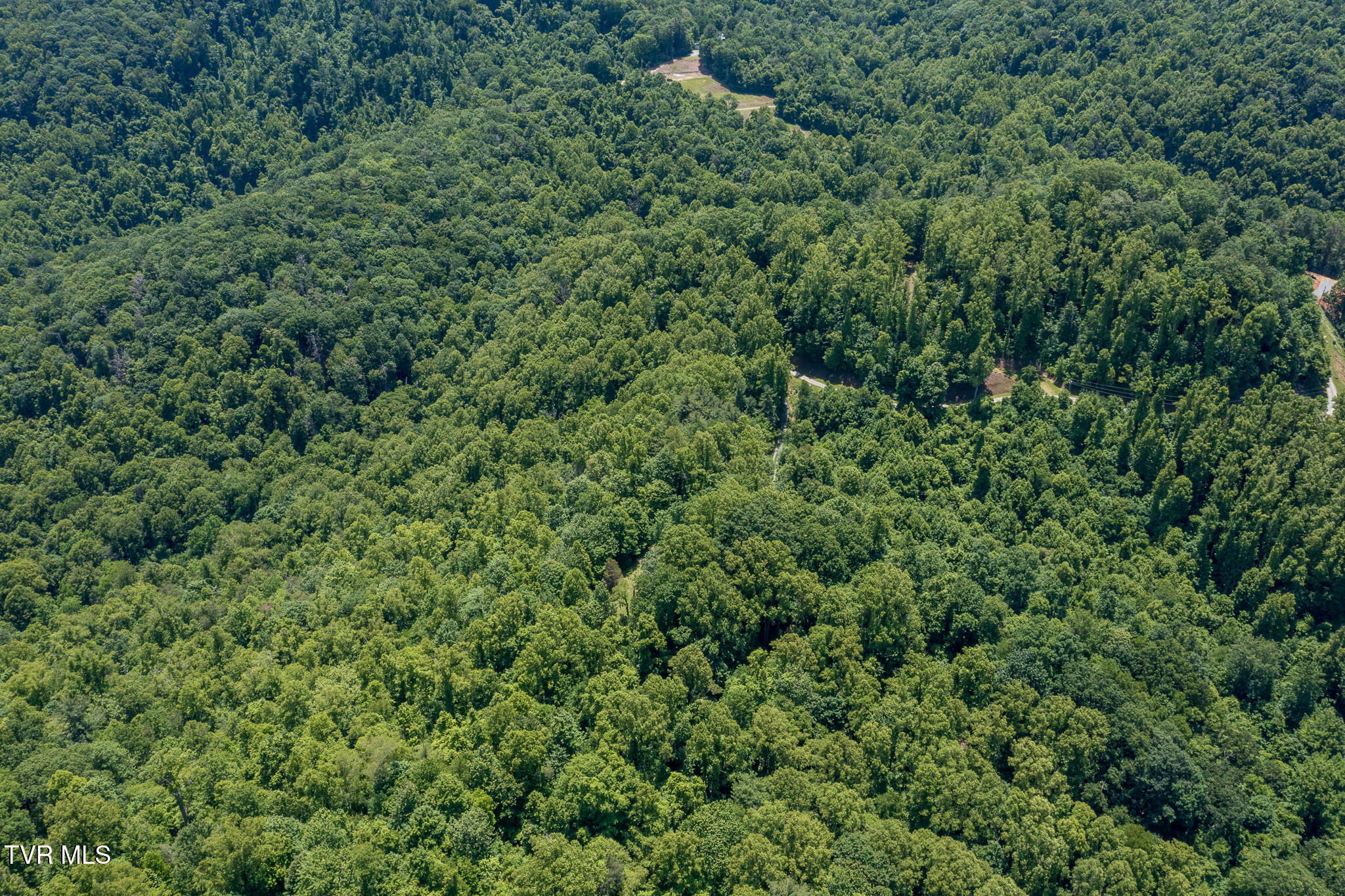 3 Ridgetop Lane, Unit 3 Unicoi, TN 37692 - Photo 6 of 20 Lot 2 Ridgetop Ln (6 of 47)