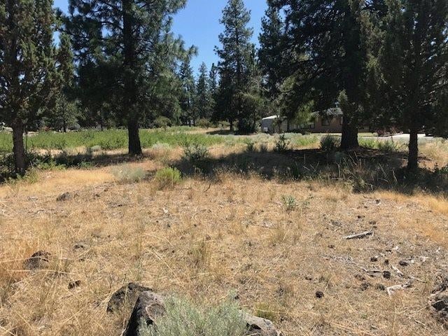 7 1/38 Jack Rabbit Road Weed, CA 96094 - Photo 4 of 4 Gallery Image 4