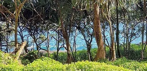 $729,000 | 15-2794 Papio Street, Pahoa, HI 96778