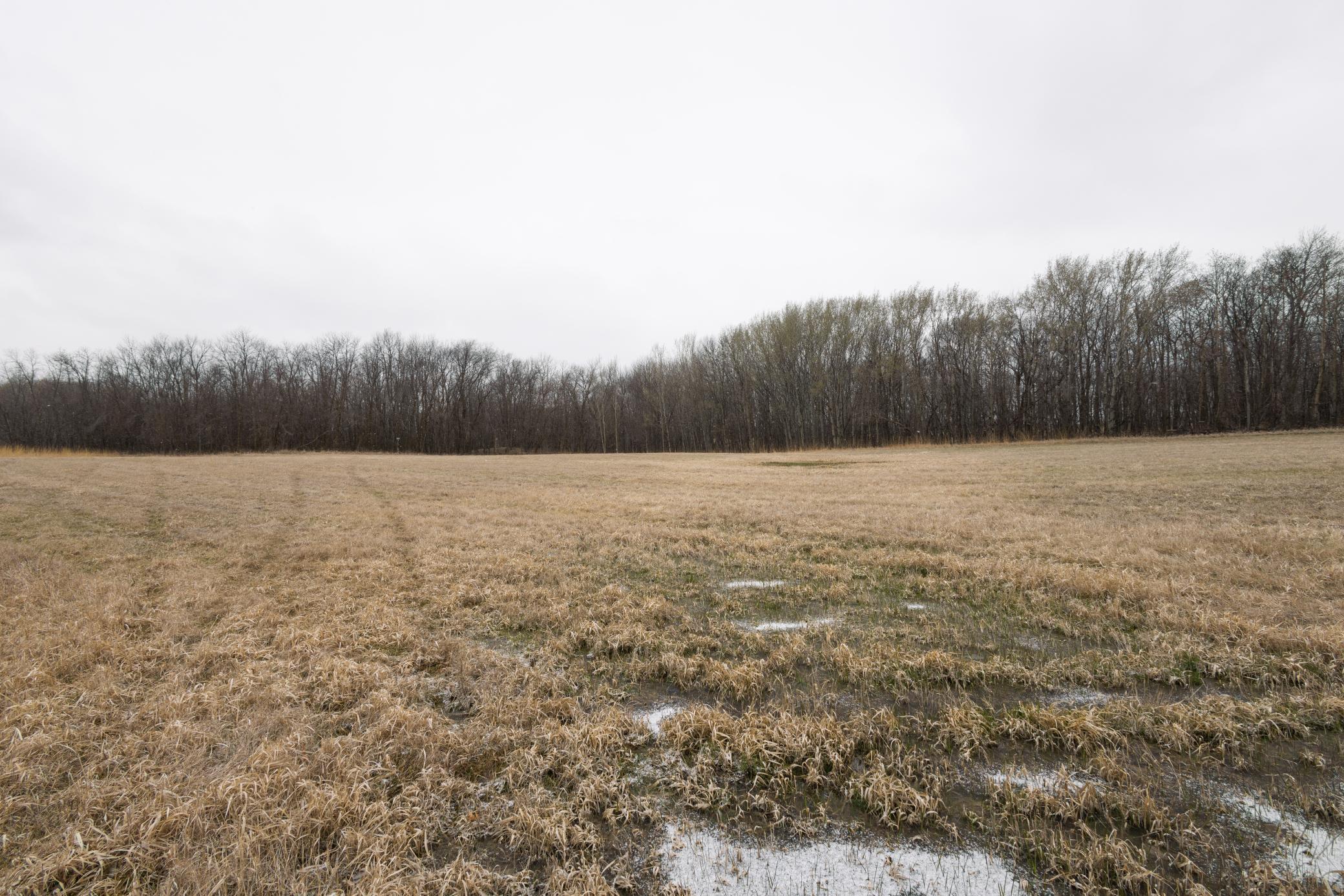 Lot 6 Sayler's Beach Road Lake Park, MN 56554 - Photo 3 of 7